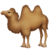 :camel: :camel: