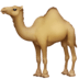 :dromedary_camel: