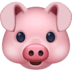 pig