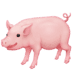 :pig2: