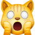 :scream_cat: :scream_cat:
