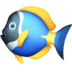 :tropical_fish: :tropical_fish: